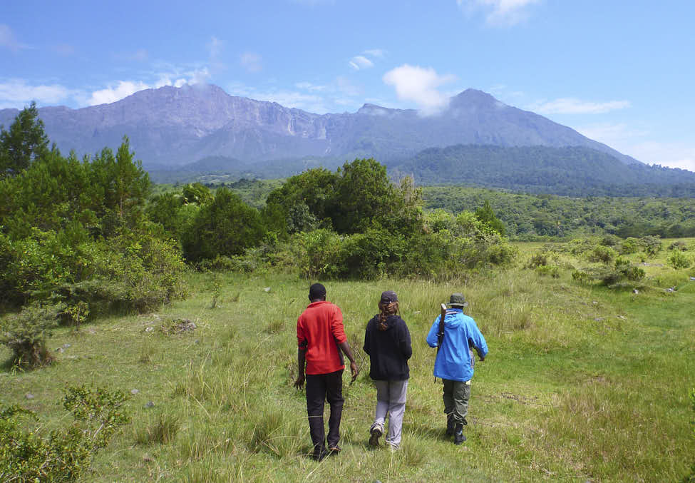 Cómo preparar tu Safari en Tanzania 17 Safari a pie en el parque de Arusha