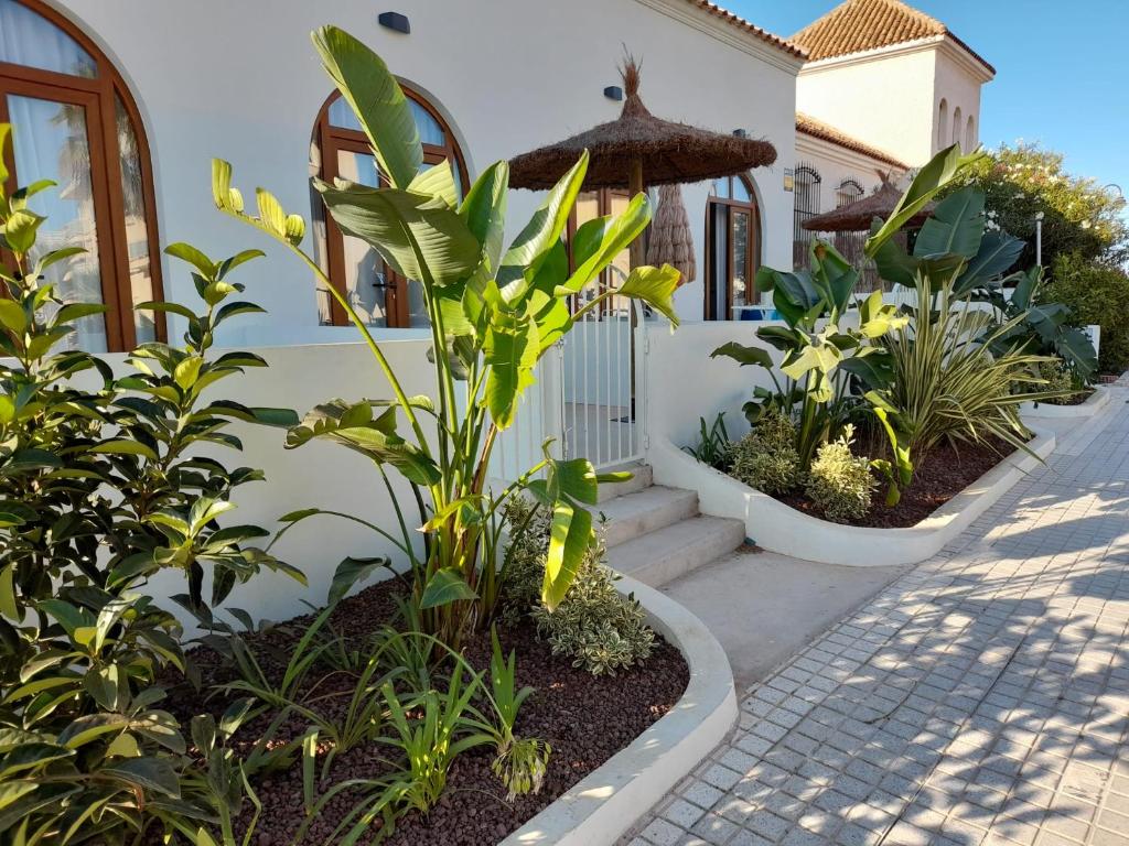 TORREMOCHA