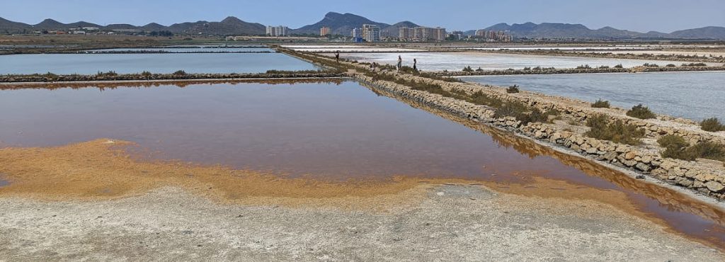 10 Cosas esenciales que hacer en la Costa Cálida 16 Las salinas de cabo de palos la costa cálida