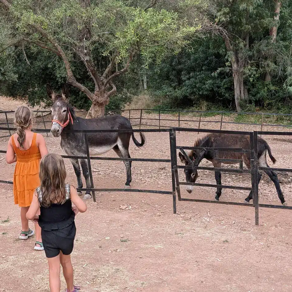 Villa Sandía: el alojamiento más original de Andalucía. 4 Niñas explorando la naturaleza en el entorno de Villa Sandía.