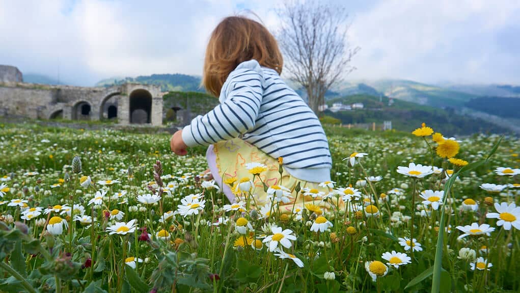 Niña recogiendo flores en el castillo de Gjirokastra en Albania