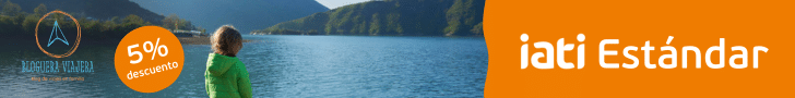 IATI Banner