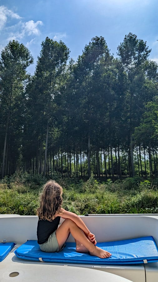 Africa mirando el bosque