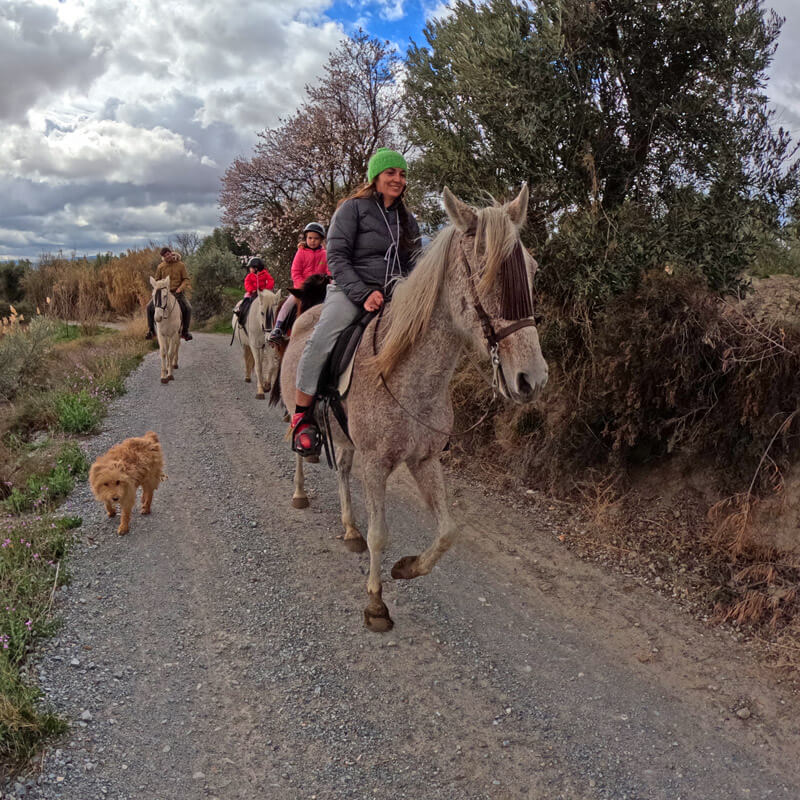 montando en caballo en Baza