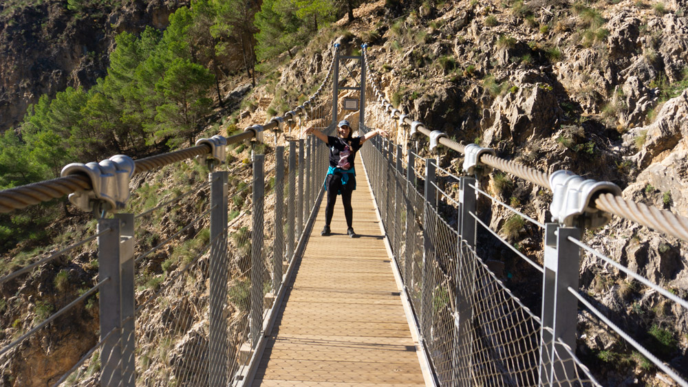 El puente colgante del Saltillo