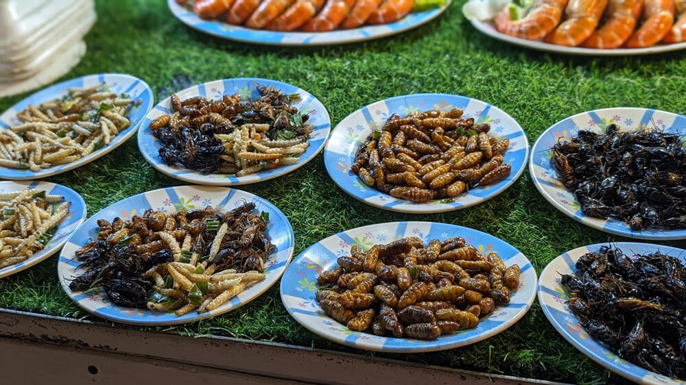 la dieta variada