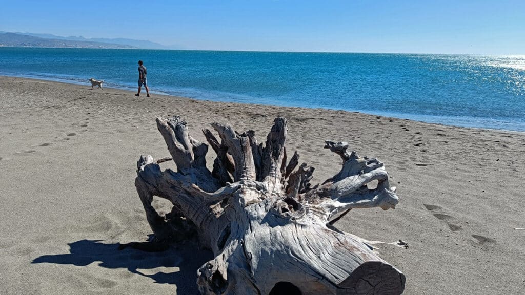 Parque Natural de la Desembocadura del Guadalhorce
