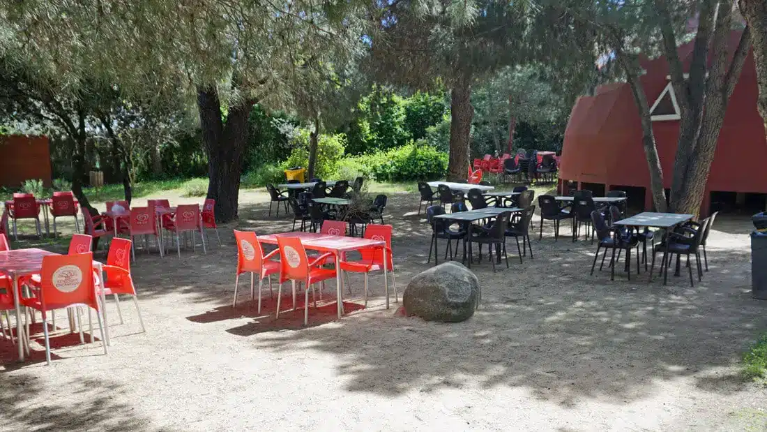 El Bosque Encantado de Madrid: una aventura en familia cerca de Madrid 4 Zona de merendero bajo los árboles en El Bosque Encantado de San Martín de Valdeiglesias, Madrid