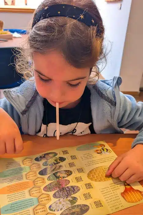 El Museo de la Miel de Colmenar: una dulce aventura en familia 5 Niña leyendo folleto educativo sobre miel en el Museo de la Miel