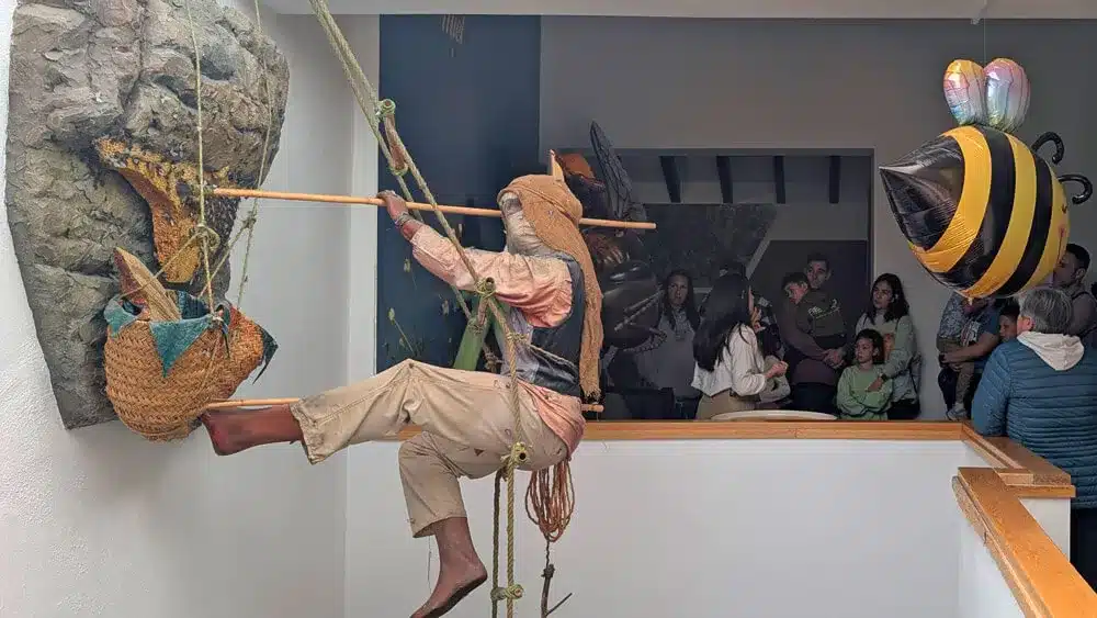 El Museo de la Miel de Colmenar: una dulce aventura en familia 3 Exposición tradicional de recolección de miel en el Museo de la Miel