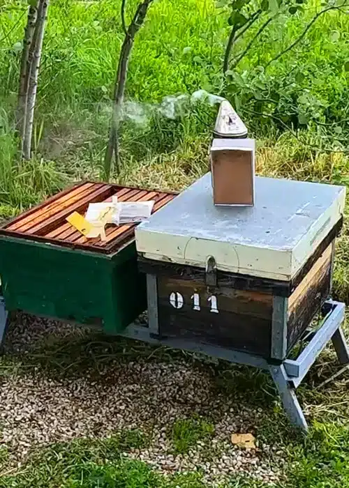 El Museo de la Miel de Colmenar: una dulce aventura en familia 11 Ahumador de abejas y colmenas en zona demostrativa del Museo de la Miel