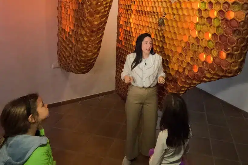 El Museo de la Miel de Colmenar: una dulce aventura en familia 1 Niños aprendiendo sobre abejas en la exposición del Museo de la Miel con panel de miel gigante
