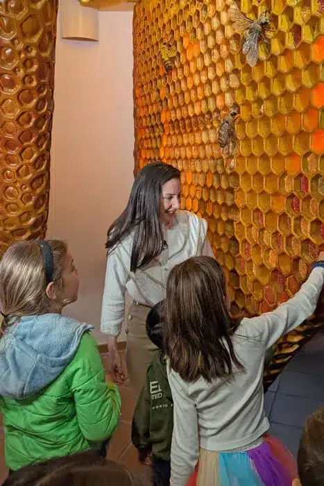 El Museo de la Miel de Colmenar: una dulce aventura en familia 16 Visita interactiva con niños señalando el panal en el Museo de la Miel