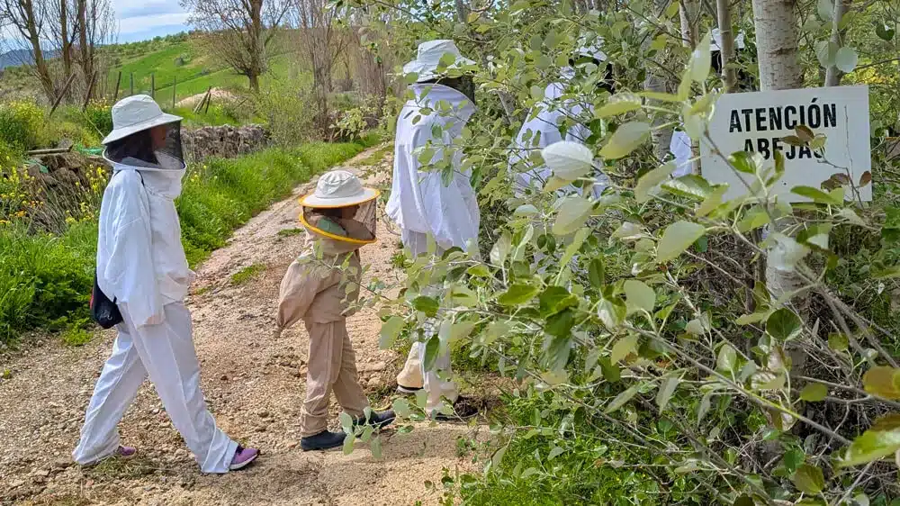 El Museo de la Miel de Colmenar: una dulce aventura en familia 10 Visitantes caminando por sendero natural cerca del Museo de la Miel con cartel de ‘Atención Abejas’