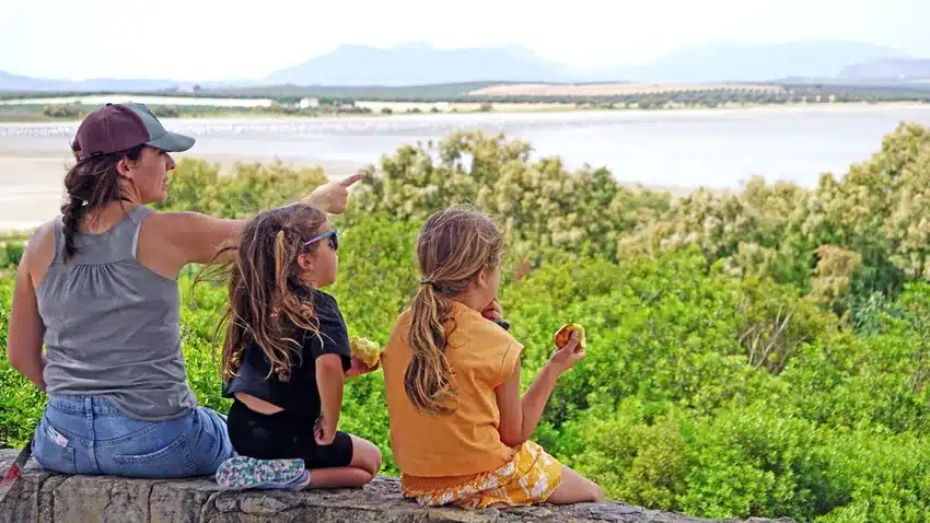 Qué ver en Fuente de Piedra: naturaleza, flamencos y planes curiosos 5 Disfrutando de las vistas de la laguna de fuente de Piedra