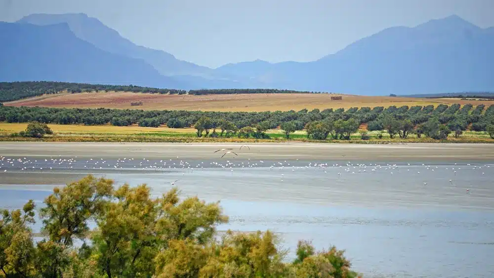 Qué ver en Fuente de Piedra: naturaleza, flamencos y planes curiosos 2 vistas de la laguna de Fuente de Piedra