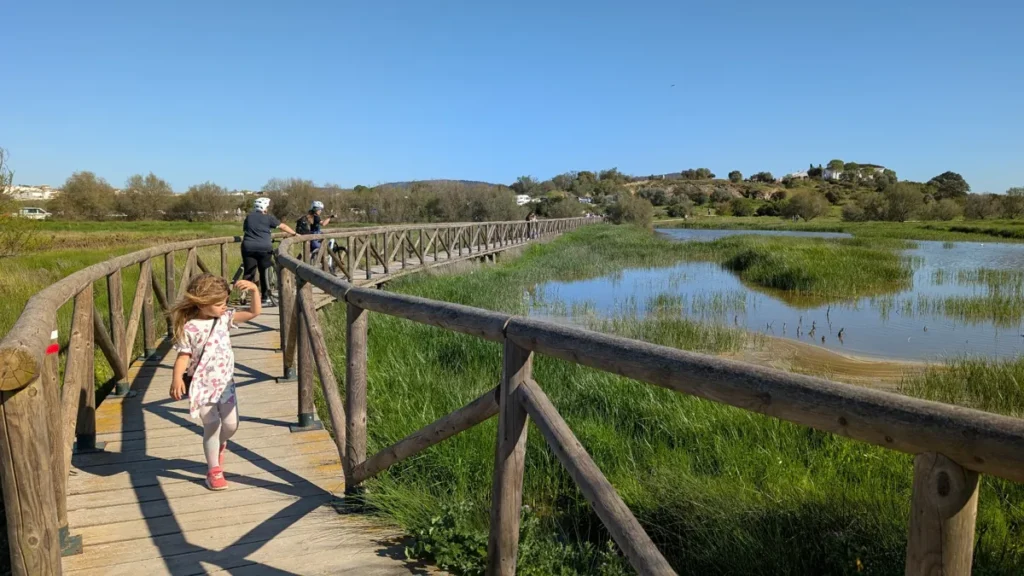 Qué ver en Fuente de Piedra: naturaleza, flamencos y planes curiosos 7 Pasarela de madera sobre la laguna Fuente de Piedra con ciclistas y niños explorando - blogueraviajera