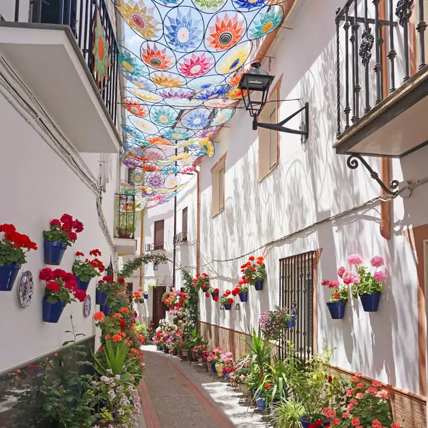 Qué ver en la Subbética Cordobesa con niños 23 La calle de las flores en Doña Mencía, la Subbética Cordobesa