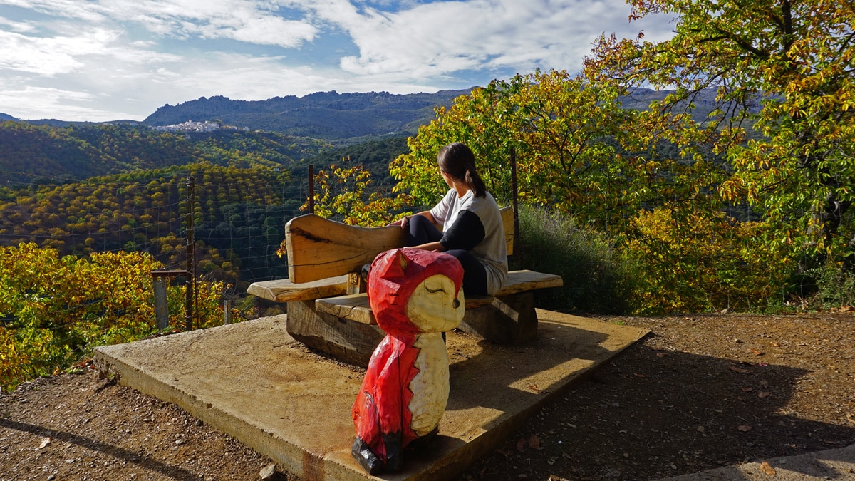 Vistas del bosque de cobre en Málaga. Parauta