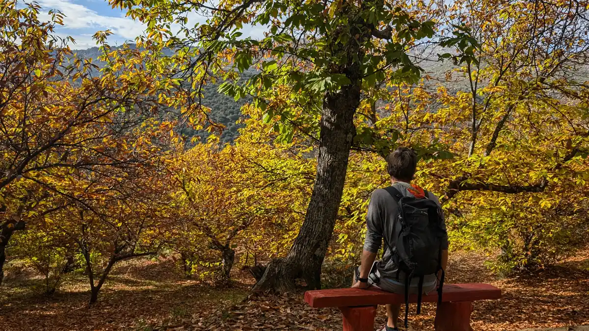 Rutas de senderismo con niños en Málaga 33 El bosque de cobre Málaga una meca de senderismo