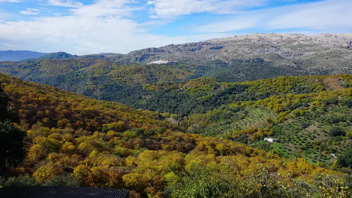 El Bosque de Cobre: 4 rutas fáciles en el Valle del Genal (Málaga) 🍂 14 Vistas panorámicas del bosque de cobre Málaga hacia Cartajima