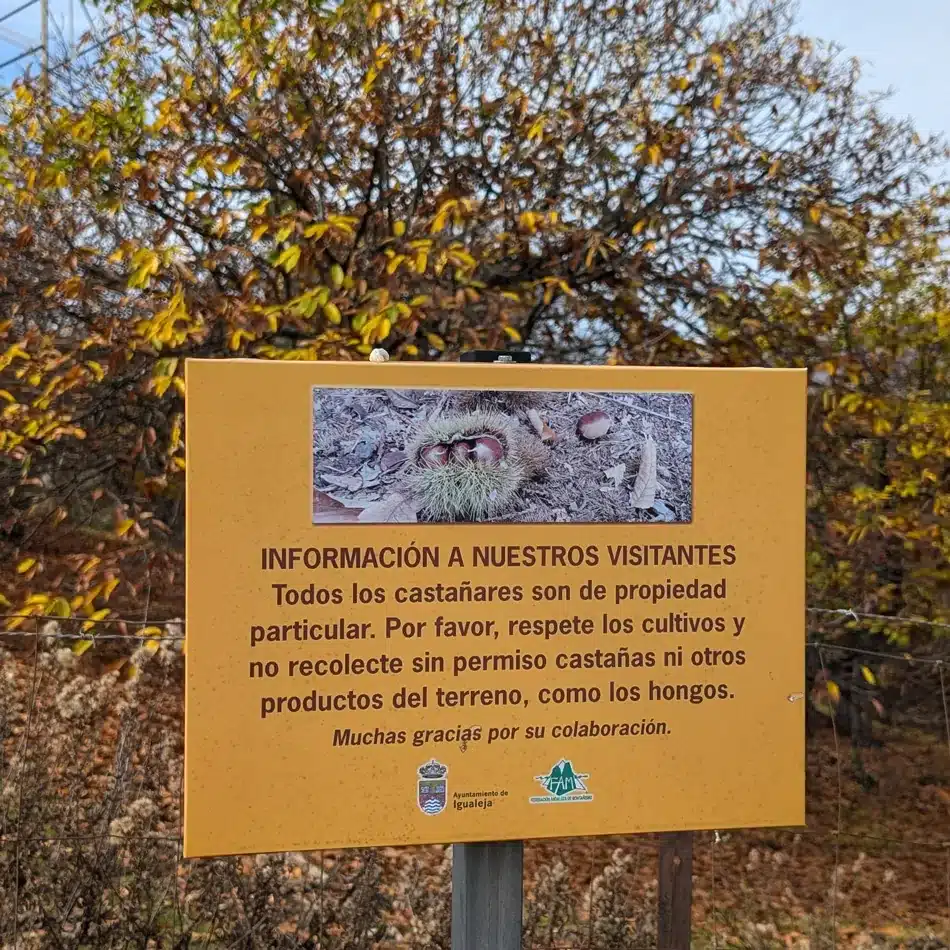 El Bosque de Cobre: 4 rutas fáciles en el Valle del Genal (Málaga) 🍂 4 Cartel informativo sobre los castaños en el bosque de cobre Málaga, Igualeja