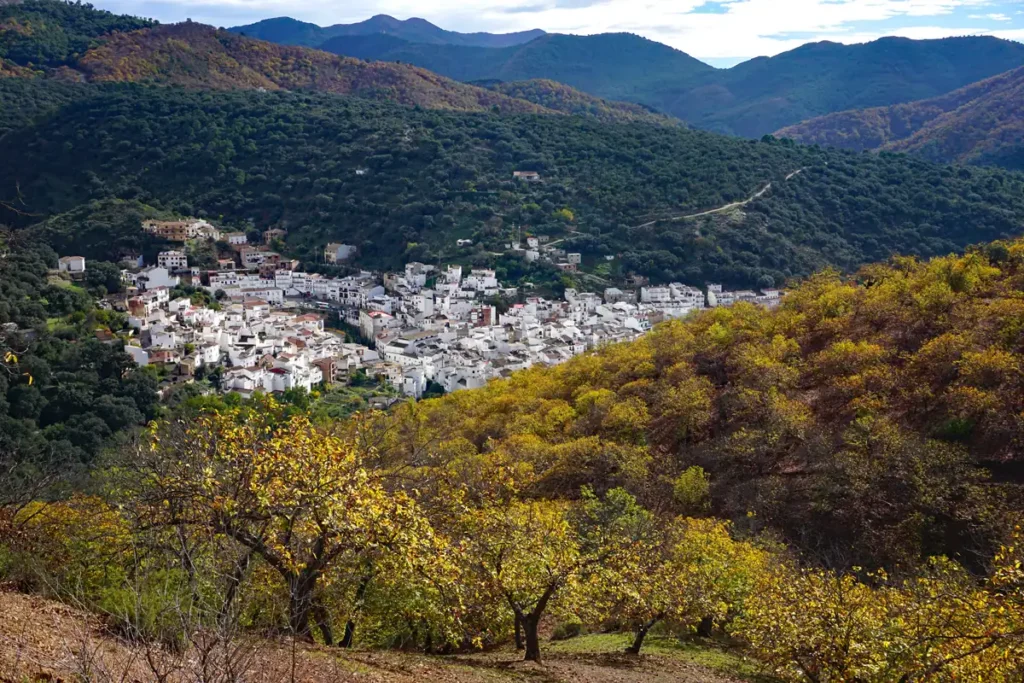 Ruta del Bosque de Cobre desde Igualeja 1 Igualeja – Nacimiento del río Genal