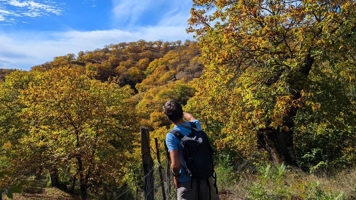 Loving the views in the Bosque de Cobre in Málaga Andalucia Uncovered.