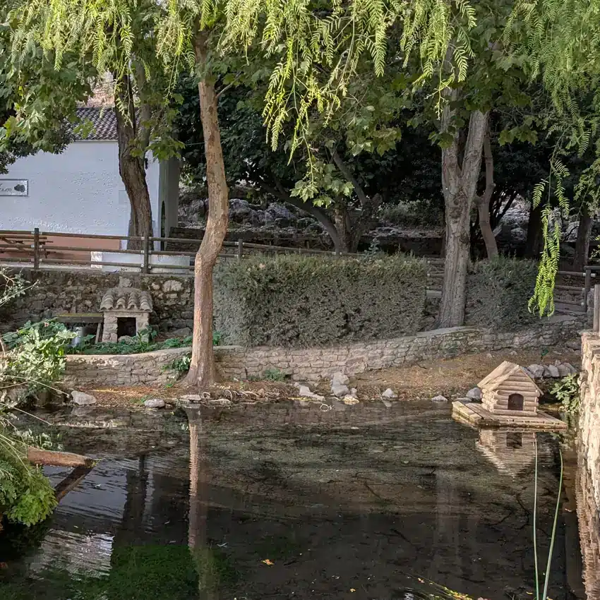 Cuevas del Becerro: naturaleza, tradición y estrellas en el corazón de Málaga 5 El nacimiento Cuevas del Becerro
