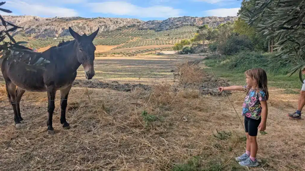 Zoe en el campo a lado el Nacimiento, Cuevas del Becerro.
