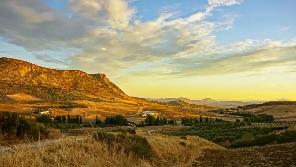 Cuevas del Becerro: naturaleza, tradición y estrellas en el corazón de Málaga 28 Visitas por la senda del Tilín, Cuevas del Becerro