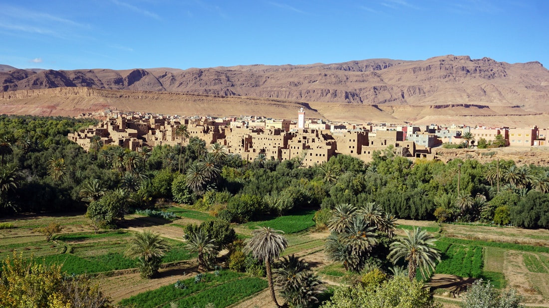 Vistas del palmeral del Oasis de Toudgha