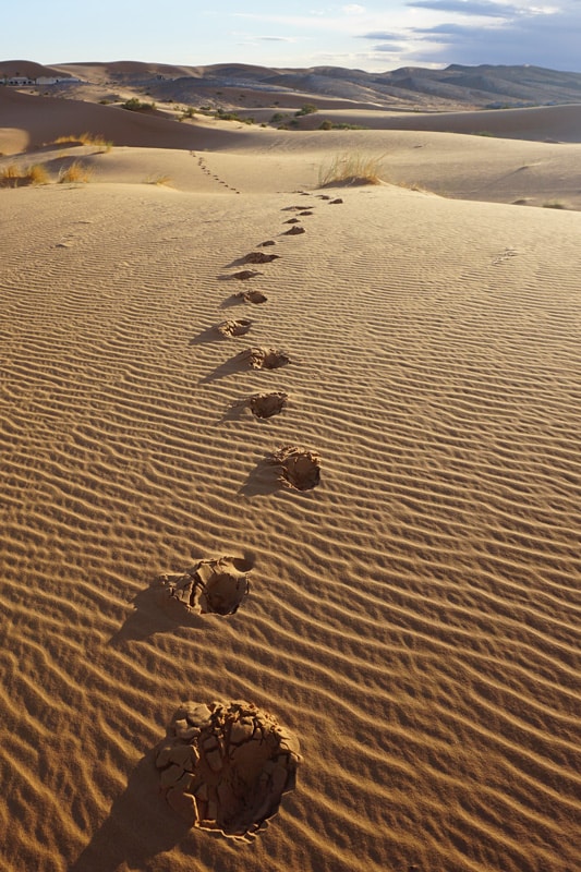Las dunas de Erg Chebbi, Marruecos con niños blogueraviajera