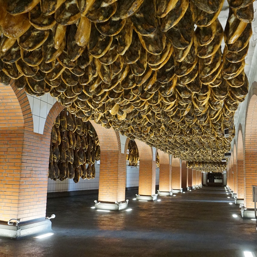 Bodeja 5Jotas Sánchez Romero Carvajal