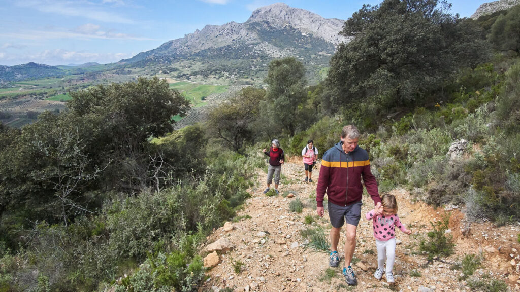Bosque de las Morillas, Alfarnate
