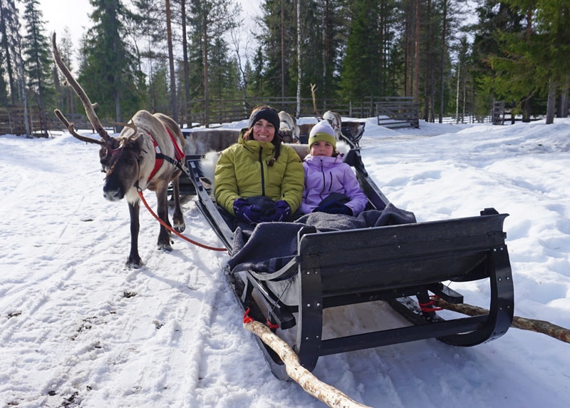 Experiencia en trineo tirado por renos en Laponia, Finlandia
