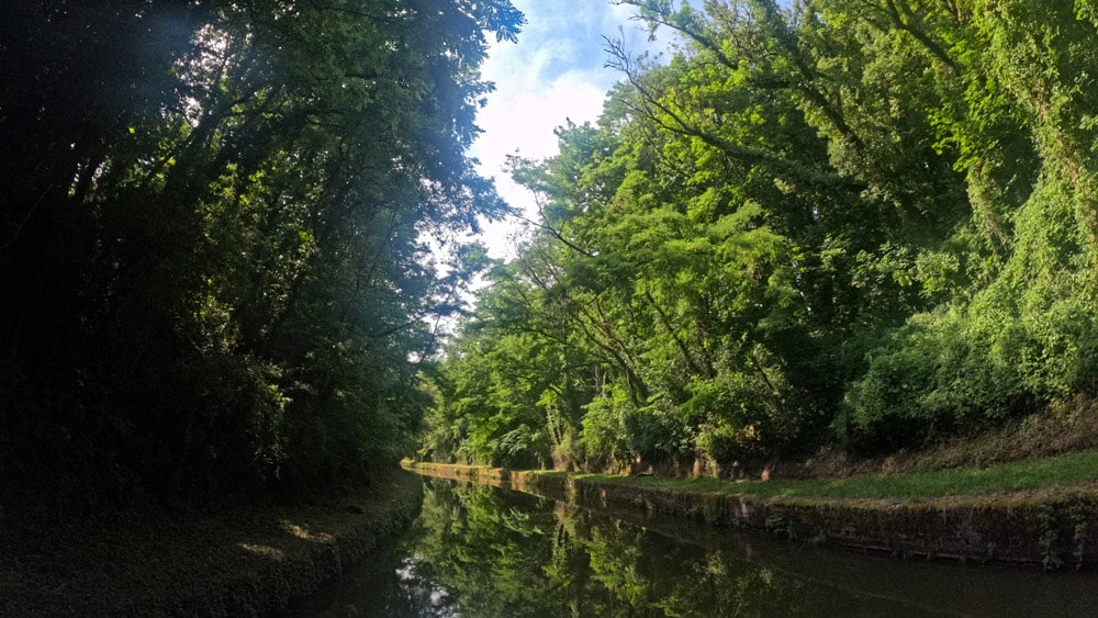 bosque