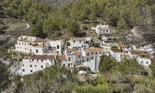 el acebuchal rincón incredible de Andalucía blogueraviajera