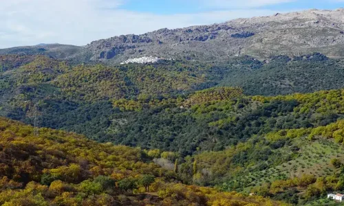 Vista panorámica del Bosque de Cobre en otoño, Sierra de Málaga con castaños y montañas – Bloguera Viajera