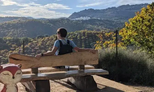 Vistas en el bosque encantado de Parauta