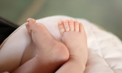 bebe