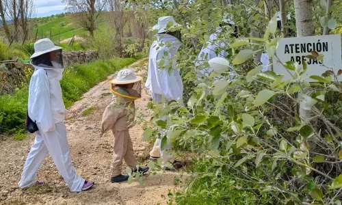 Visitantes caminando por sendero natural cerca del Museo de la Miel con cartel de ‘Atención Abejas’