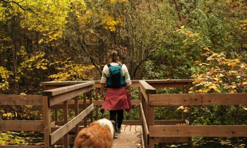 Comparativa: Camino de Santiago