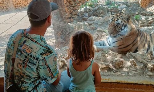 zoo de Castellar